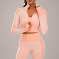 Two Piece Seamless Yoga Clothing Suit Women's Yoga Clothing Knitted Hip Lifting Stretch Running Sports Fitness Clothing